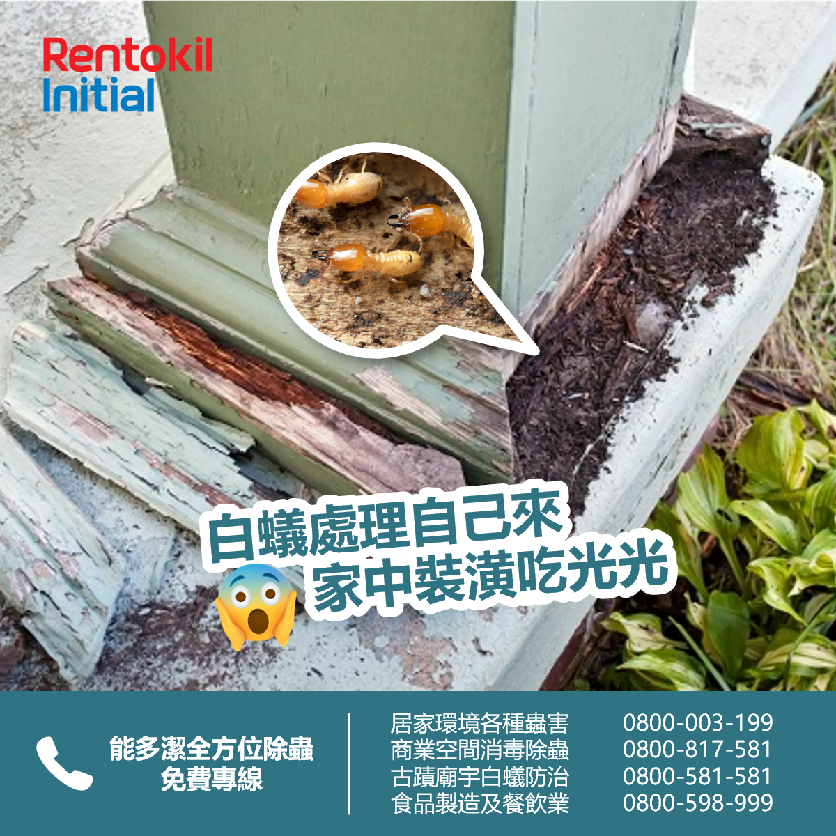 termite diy treatment