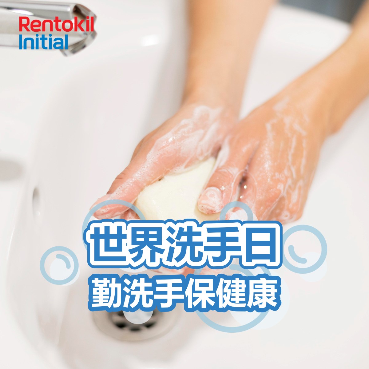 termite diy treatment