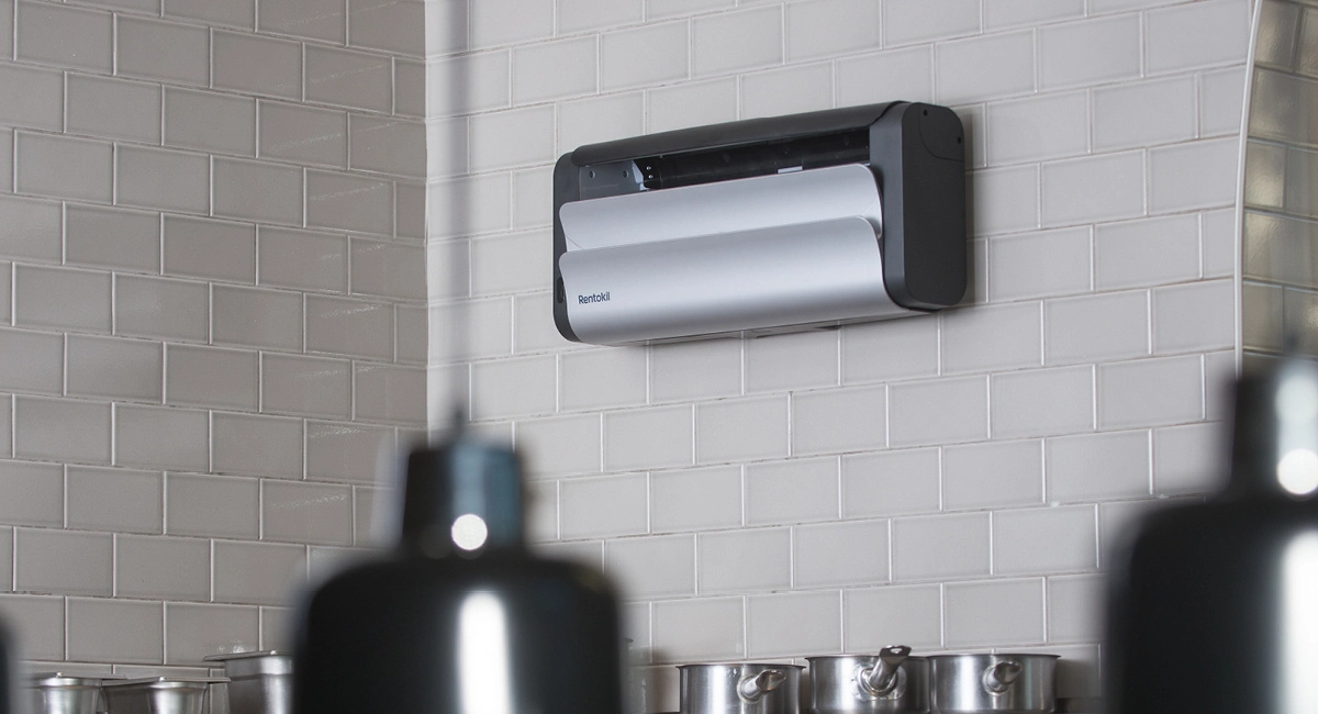 Lumnia Compact on the wall